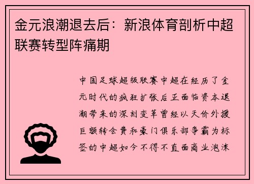金元浪潮退去后：新浪体育剖析中超联赛转型阵痛期
