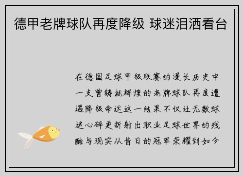 德甲老牌球队再度降级 球迷泪洒看台